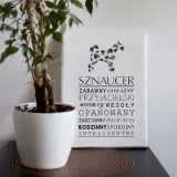 typograficzny-obraz-na-plotnie-sznaucer