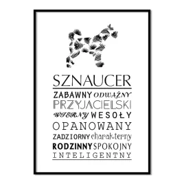 plakat-typograficzny-sznaucer