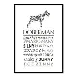 plakat-typograficzny-doberman