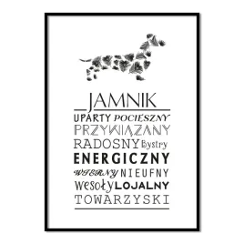 plakat-typograficzny-jamnik