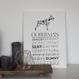 typograficzny-obraz-na-plotnie-doberman