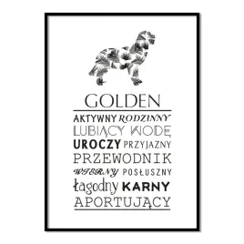 plakat-typograficzny-golden-retriever