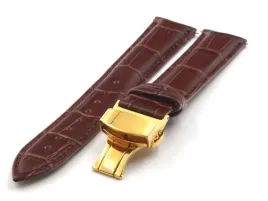 skorzany-pasek-tz-01-02gd-z-motylkiem-24-mm
