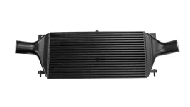 intercooler-turboworks-nissan-r32-r33-r34-gtr-600x295x120-wejscie-315