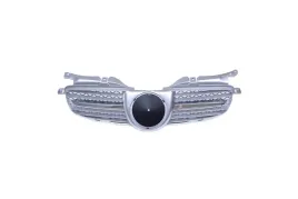 grill-mercedes-benz-slk-r170-chrome-and-silver