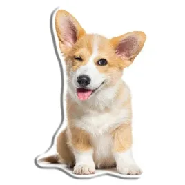 poduszka-dekoracyjna-ksztaltka-piesek-corgi-25-x-45-cm