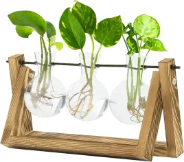wazon-stojak-do-rozmnazania-roslin-szklane-terrarium-ozdoba-prezent-uprawa