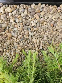 otoczak-8-16-mm-kamien-ozdobny-plukany-1000-kg-50x20kg