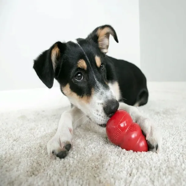 kong-classic-l-10cm-stan-nowy