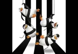 naklejki-na-sciane-dla-dzieci-plakat-madagaskar-100x70-bohater-madagaskar