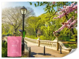 fototapeta-do-sypialni-park-kwiaty-most-central-park-ny-efekt-3d-200x140
