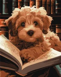 malowanie-po-numerach-puszysty-czytelnik-40x50cm