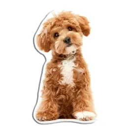 poduszka-dekoracyjna-ksztaltka-piesek-maltipoo-25-x-45-cm