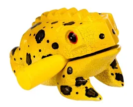 guiro-zabka-9cm-afroton-afr734b-zolta