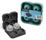 forma-do-lodu-galicja-2-roslina