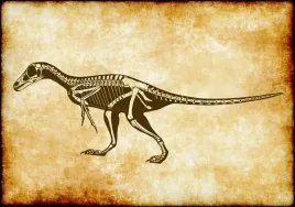 naklejki-na-sciane-dla-dzieci-plakat-dino-szkielety-100x70