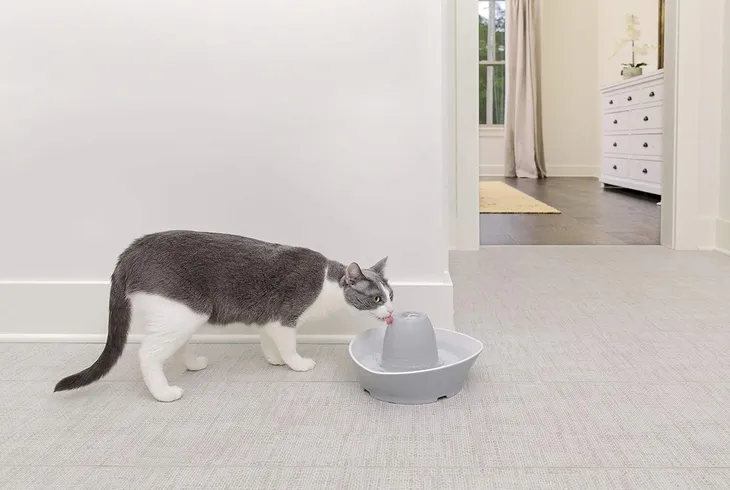 petsafe-ceramiczna-fontanna-do-picia-streamside-rodzaj-poidlo