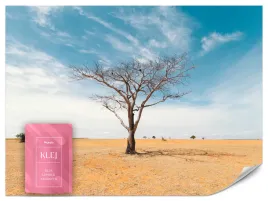 fototapeta-do-sypialni-biura-pustynia-drzewo-natura-pejzaz-efekt-3d-500x350