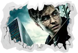 naklejki-na-sciane-3d-harry-potter-100x70