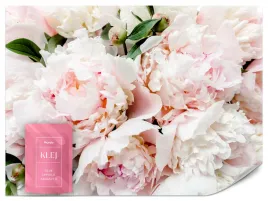 fototapeta-do-sypialni-salonu-rozowe-piwonie-peonie-kwiaty-natura-500x350