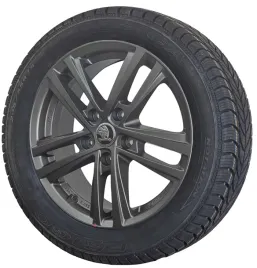 nowe-grafitowe-kola-seat-leon-2-3-4-debica-frigo-2-16-cali-2025-rok