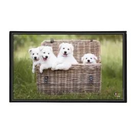 viquel-podkladka-na-biurko-wzor-psy-ochrona-biurka-szczeniaki