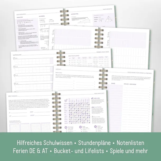 hafft-timer-fancy-2024-2025-produkt-wprowadzony-do-obrotu-na-terenie-ue-przed-13-12-2024-nie-stan-powystawowy