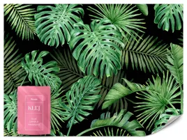 fototapeta-do-salonu-sypialni-zielone-liscie-tropikalne-monstera-3d-100x70