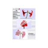 folia-do-laminatora-olympia-germany-9178