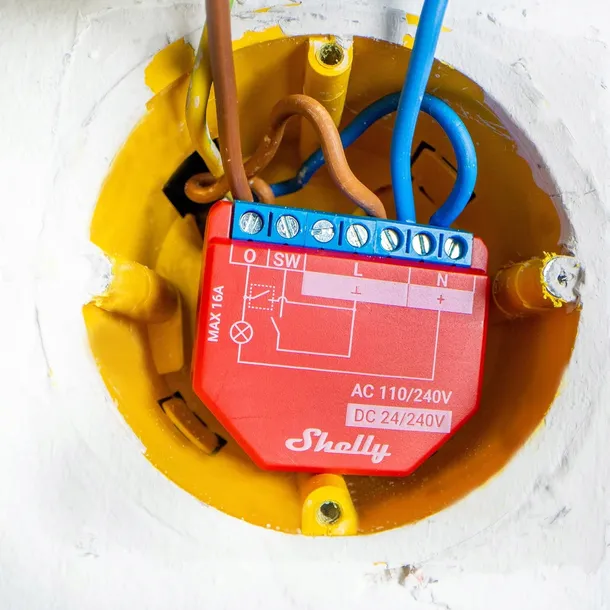 przelacznik-shelly-01212000-rodzaj-przelacznik