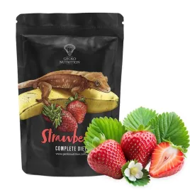 gecko-nutrition-banan-truskawka-2000g