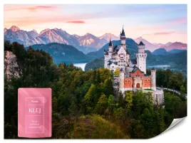 fototapeta-do-salonu-biura-zamek-neuschwanstein-alpy-las-pejzaz-3d-150x105