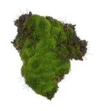 mech-naturalny-60g-stan-nowy
