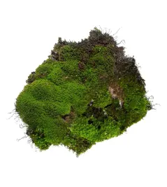 mech-naturalny-1000g