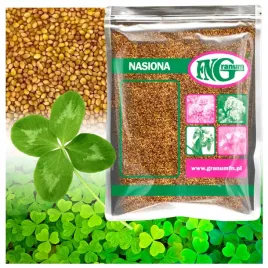 mikrokoniczyna-koniczyna-drobnolistna-nasiona-500-g-zageszczajaca-biala