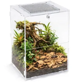 terrarium-akrylowe-dla-pajaka-repti-zoo-pacr86-acrylic-terrarium-19x18x29cm