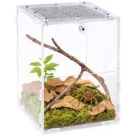terrarium-akrylowe-dla-pajaka-repti-zoo-pacr85-acrylic-terrarium-15x16x20cm