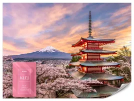 fototapeta-do-sypialni-salonu-japonia-kwiaty-wisni-pagoda-gora-fuji-100x70