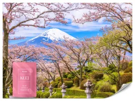 fototapeta-do-salonu-park-japonski-kwiaty-wisni-gory-fuji-pejaz-3d-200x140