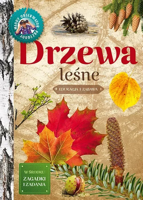 drzewa-lesne
