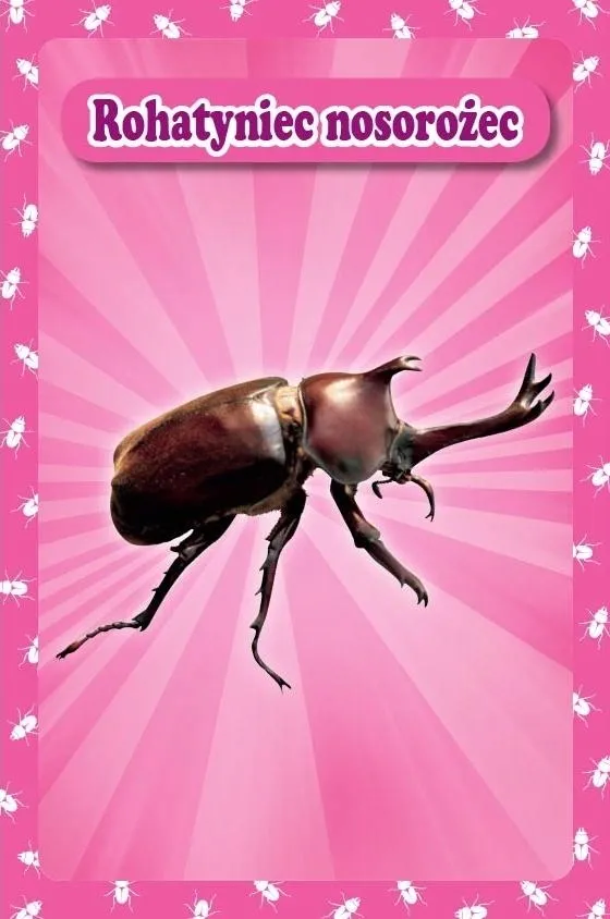 Grafika w opisie produktu