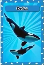 karty-popup-3d-zwierzeta-morskie