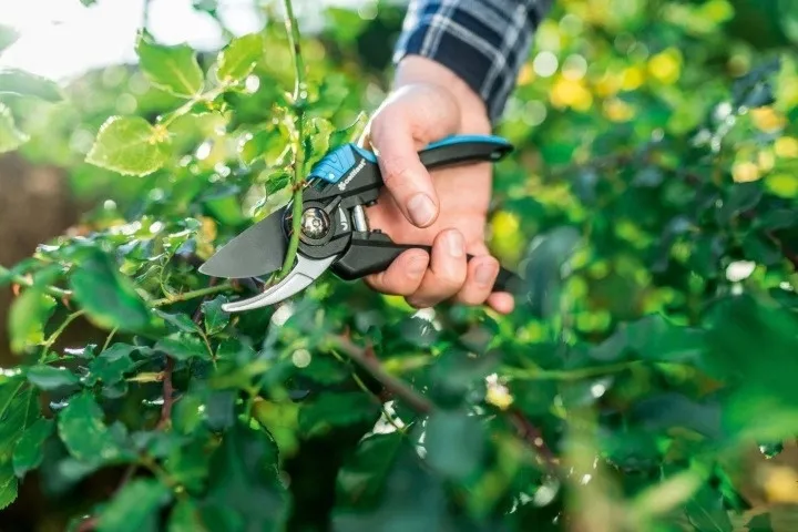 sekator-nozycowy-energo-cellfast