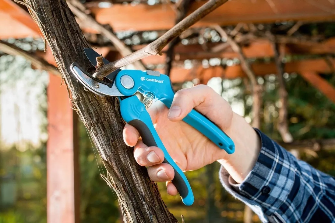 sekator-kowadelkowy-pro-cellfast