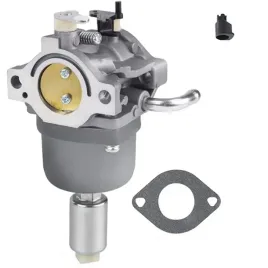 gaznik-briggsandstratton-591731-594593-794572-796109