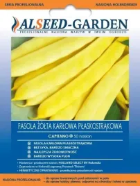 fasola-zolta-karlowa-plaskostrakowa-capitano-plenna-nasiona-holenderskie