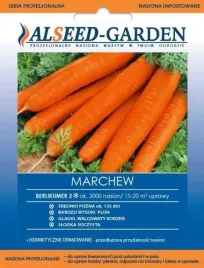 marchew-berlikumer-2-srednio-pozna-wysoki-plon-slodka-nasiona-holenderskie