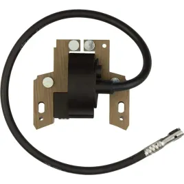 cewka-zaplonowa-briggsandstratton-5km-397358