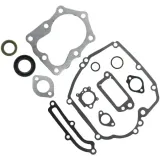 zestaw-uszczelek-briggsandstratton-quantum