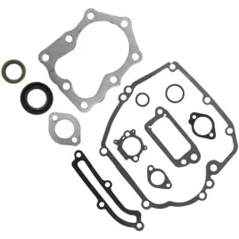 zestaw-uszczelek-briggsandstratton-quantum
